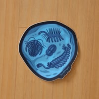Image 3 of Burgess Shale Fossil Sticker