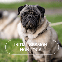 Initial session  - Non local