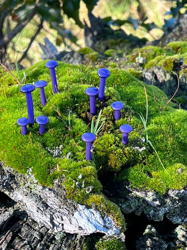 Image of 10 Purple Mushroom Plant Spikes