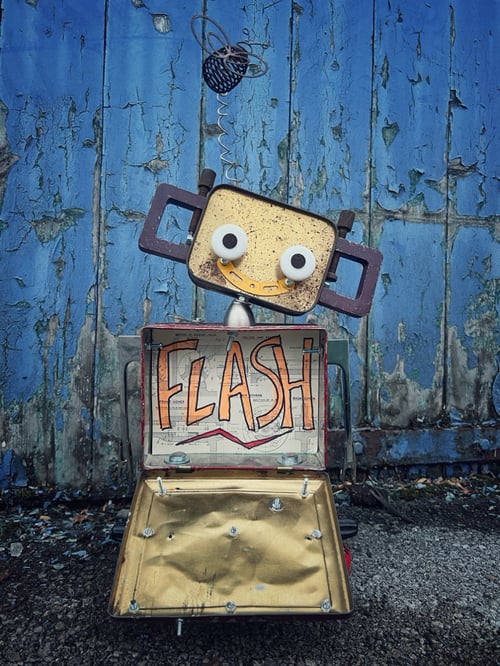 Image of Flash (the 2nd)