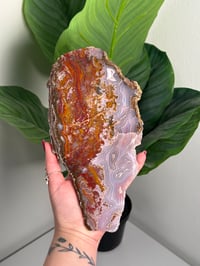 Image 1 of AGUA NUEVA AGATE SLAB D