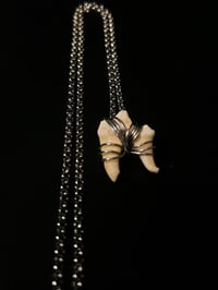 Image 3 of Wire Wrapped Cotoye Tooth Necklace