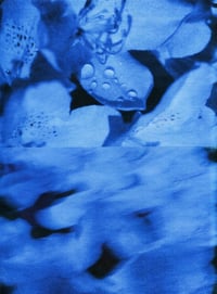 Image 5 of BLUE FLOWERS 