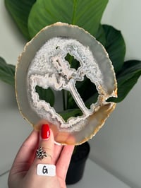 Image 8 of THIN DRUZY AGATE SLICES -BRAZIL-