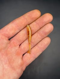 Image 2 of 2” Fry Guy “Hot Honey/ Pearl” 