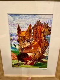 Image 2 of Framed print of Red Squirrel