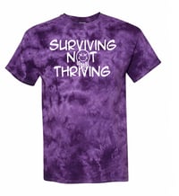 Image 2 of Surviving Not Thriving Pre-Order 