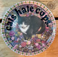 Image 5 of cats hate fascists & ACAB