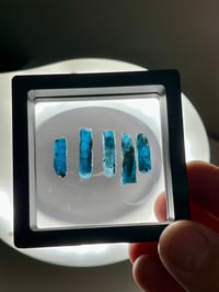 Image 1 of Ocean Kyanite Blades | Harts Range NT Australia #3078