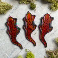 Red Spotted Salamanders