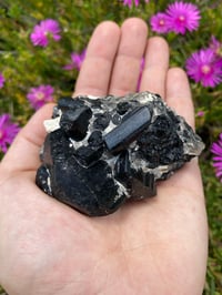 Image 1 of Black Tourmaline Cluster
