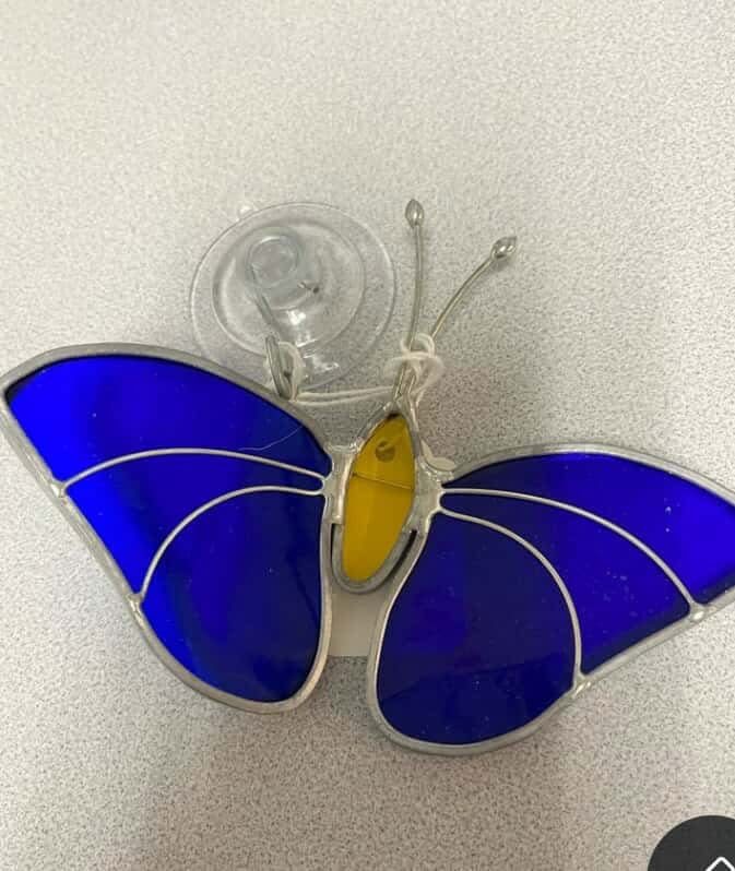Image of Skylar Foundation/ Blue Butterfly Stainedglass