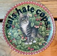 Image 6 of cats hate fascists & ACAB