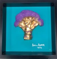 Violating the grass broccoli 
