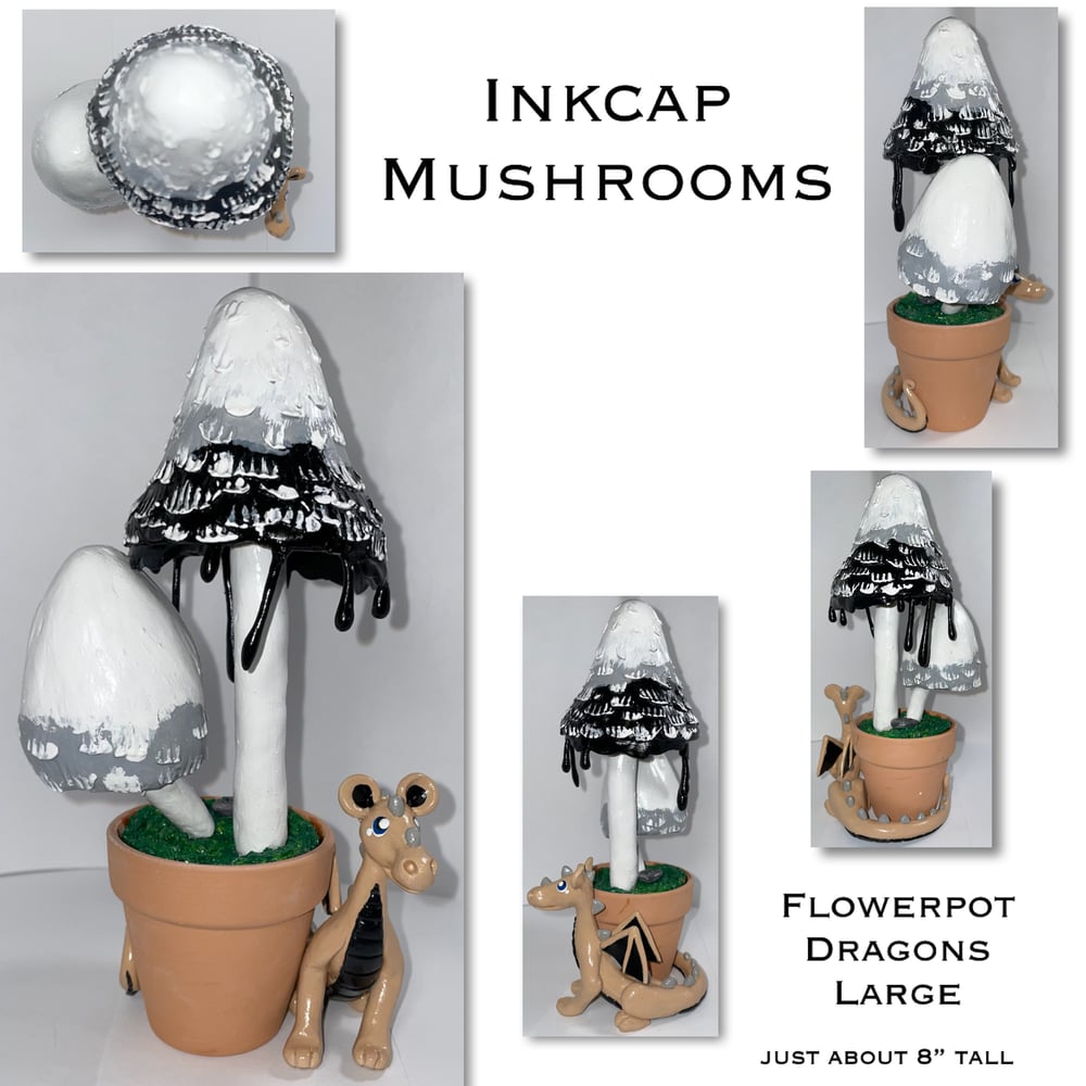 Image of 2023 Flowerpot Dragons