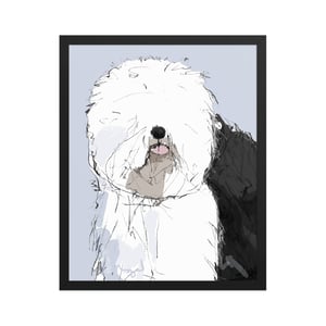 Image of ENGLISH SHEEP DOG