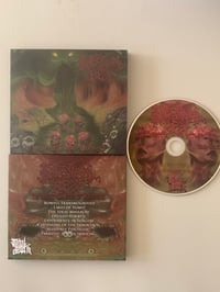 Image 2 of INTESTINAL HEX (The Exalted Chambers of Abhorrence) CD Digipack 