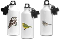 Image 1 of UK Birding Water Bottle - Choose A Species