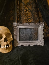 Image 1 of Ornate Matte Silver Ornate Preserved Spider Web 