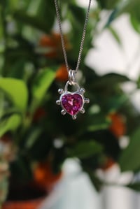 Image 1 of Pink Poison