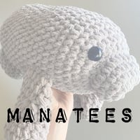 Image 1 of Manatee