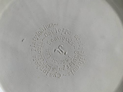 Image of Large Rockpool Serving Bowl