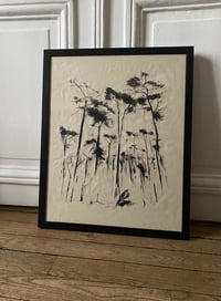 Image 3 of Woods