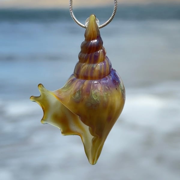Image of Purple and White coral Bulb Shell
