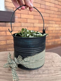 Image 1 of All Time Fittonia in Vintage Pail