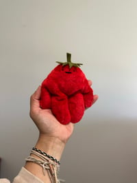 Mini Tomato Bloog