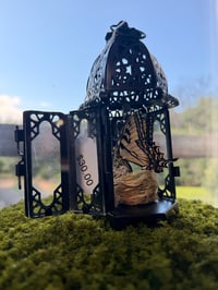 Image 5 of Swallowtail Lantern 