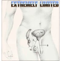 Image 2 of Male anatomy 