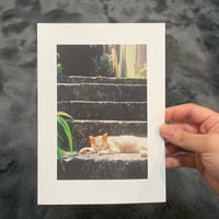 Image 5 of MYSTERY BAG A5 film photography prints x3