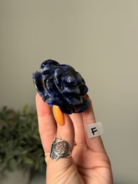 Image 7 of SODALITE  ROSES