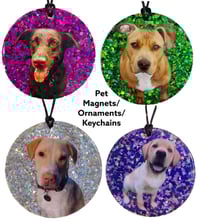 Image 2 of Customize your own Photo Magnet or Ornament