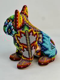 Image 2 of French Bulldog Puppy 0013