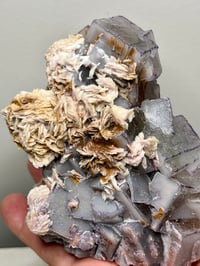Image 12 of QR Code Fluorite & Barite Specimen #2586