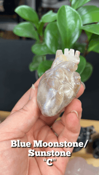 Image 10 of Anatomical Hearts