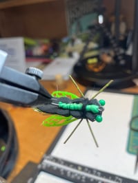 Image 5 of Carpy Cicada 