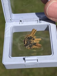 Image 9 of Golden Rutile & Hematite Star Specimen|Brazil #2932