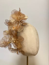 Image 1 of Gold orchids.