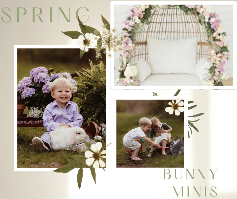 Image of Spring  Bunny Minis