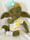 Image of Brae, 20” Open Mouth Baby Goblin