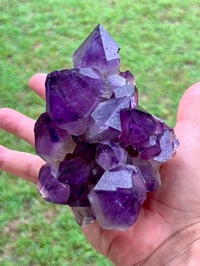 Image 19 of Amethyst Points Cluster | Congo #2870