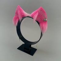 Image 2 of Galactic Pink Kitten