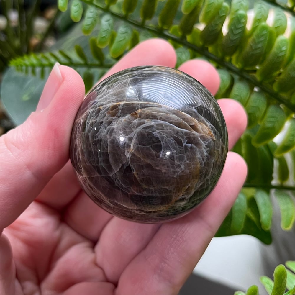 Black Moonstone Sphere D