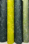Bosque - Permanent Collection