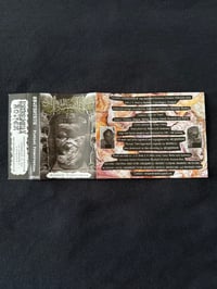 Image 2 of SEQUESTRUM - “Pickled Preservation”