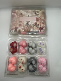 Image 2 of sample collections 