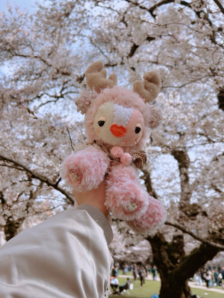 Image of Cherry blossom gremlin 